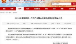 沙河最新爆料,揭秘事件背后惊人真相