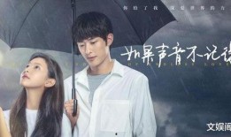 记得在线观看,记得平台带你畅游影视世界