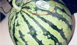 保定网红吃瓜,揭秘网络红人的幕后故事